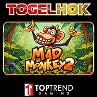 Mad Monkey 2